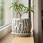 Sculptural Indoor Planter with Drainage Tray, Openwork Plant Pot for Houseplants
