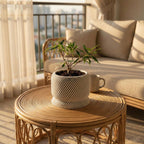 Modern Spiral Planter with Drainage Saucer, Minimalist Indoor Plant Pot