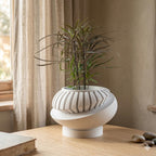 Sculptural Indoor Planter, Modern Plant Pot with Removable Drainage Tray