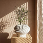Sculptural Indoor Planter, Modern Plant Pot with Removable Drainage Tray