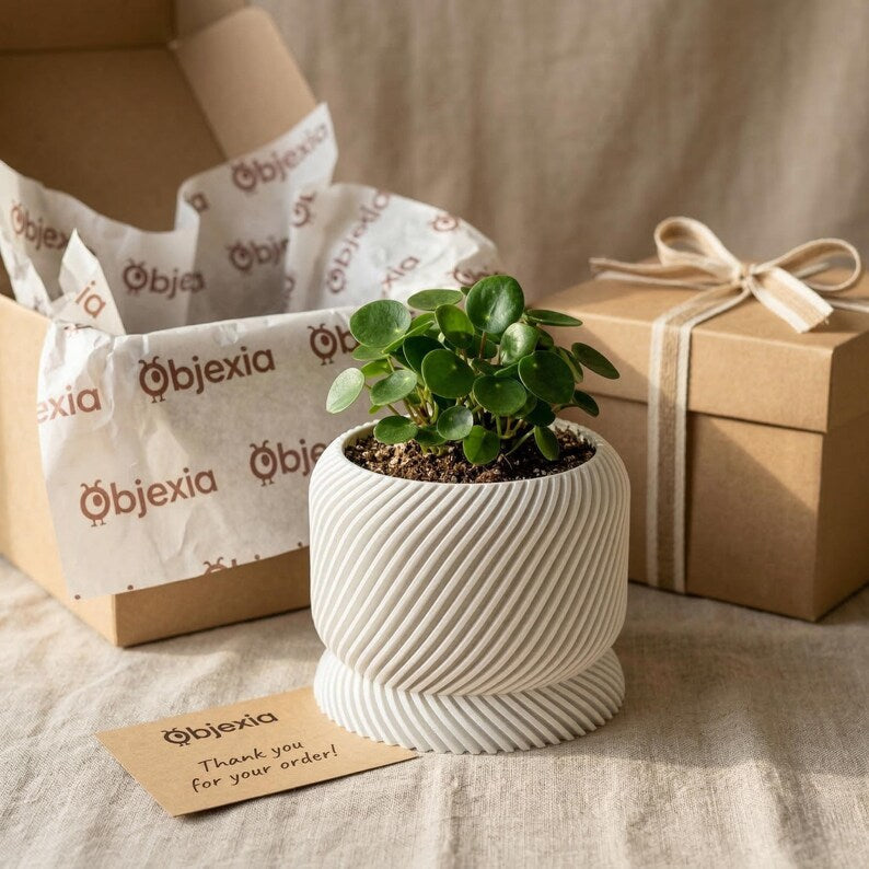 Modern Spiral Planter with Drainage Saucer, Minimalist Indoor Plant Pot